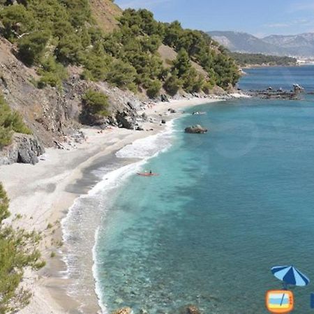 Loft Climatise "La Pinede", 50 M2, Tres Calme, 5 Mn A Pied Des Plages, Lit King Size La Seyne-sur-Mer Eksteriør billede