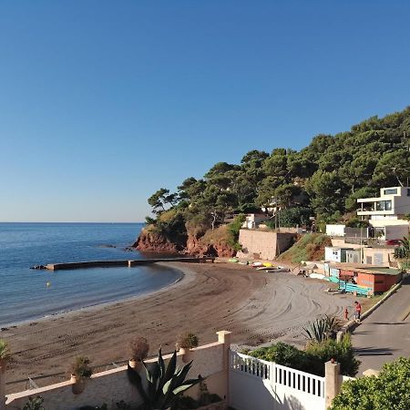 Loft Climatise "La Pinede", 50 M2, Tres Calme, 5 Mn A Pied Des Plages, Lit King Size La Seyne-sur-Mer Eksteriør billede