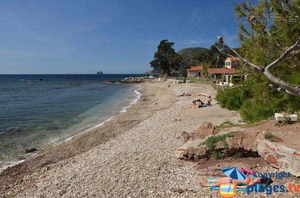 Loft Climatise "La Pinede", 50 M2, Tres Calme, 5 Mn A Pied Des Plages, Lit King Size La Seyne-sur-Mer Eksteriør billede