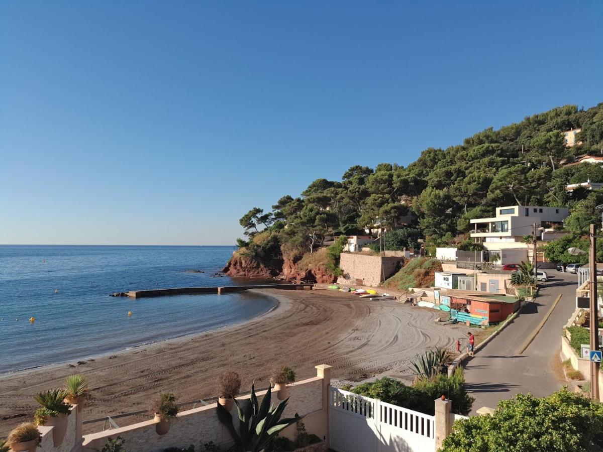 Loft Climatise "La Pinede", 50 M2, Tres Calme, 5 Mn A Pied Des Plages, Lit King Size La Seyne-sur-Mer Eksteriør billede